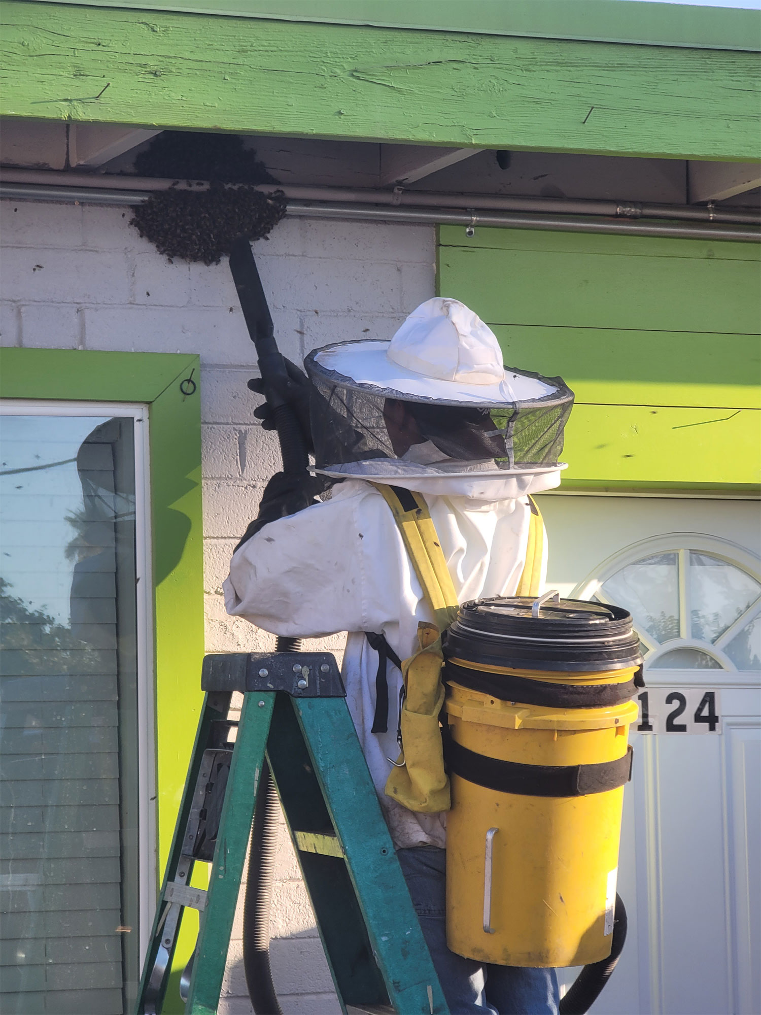 Bee removal technician using specialized vacuum equipment to safely extract a bee colony from under the eaves of a house in Phoenix, AZ.