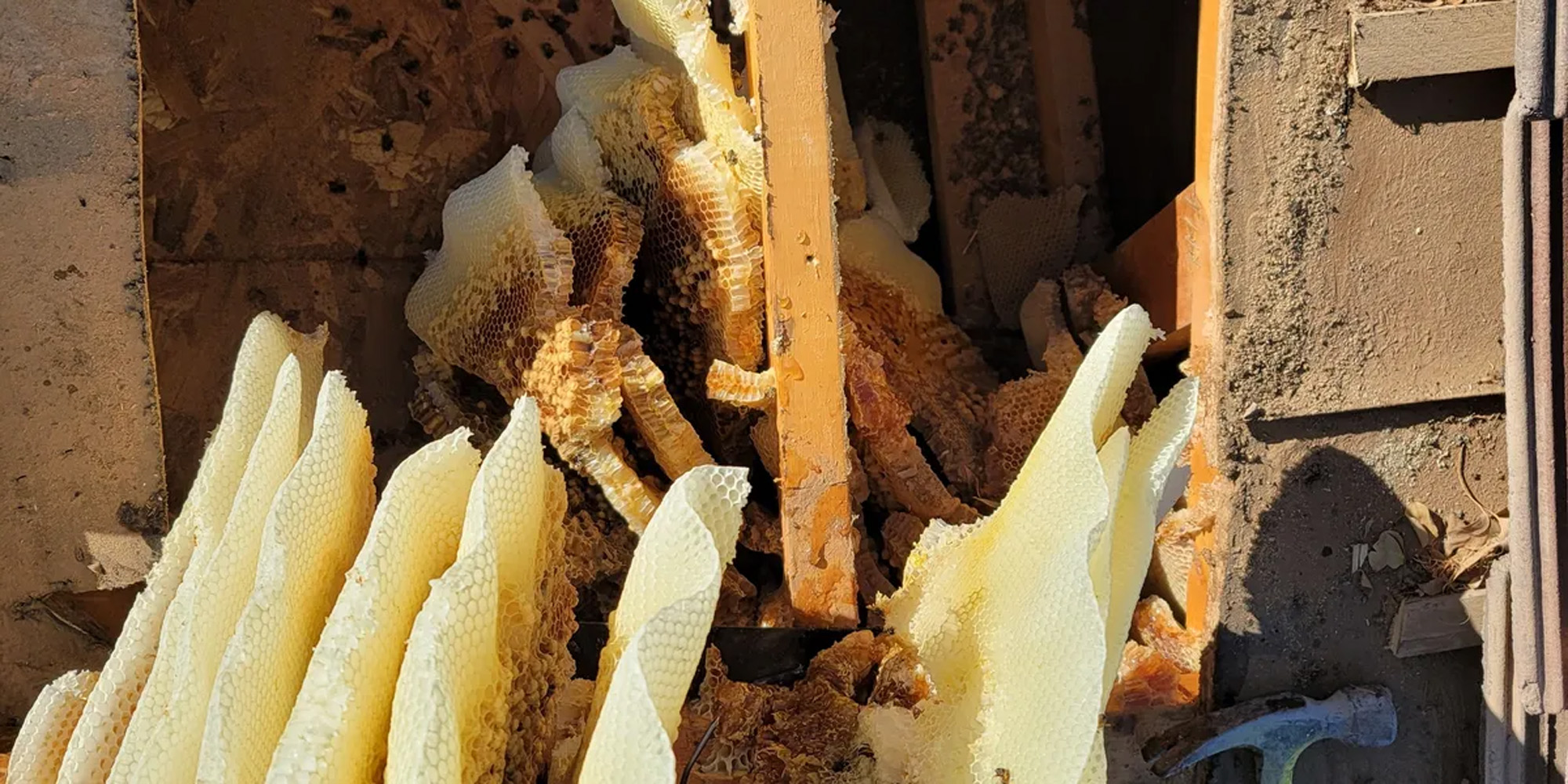 rs=w_1200,h_600,cg_true